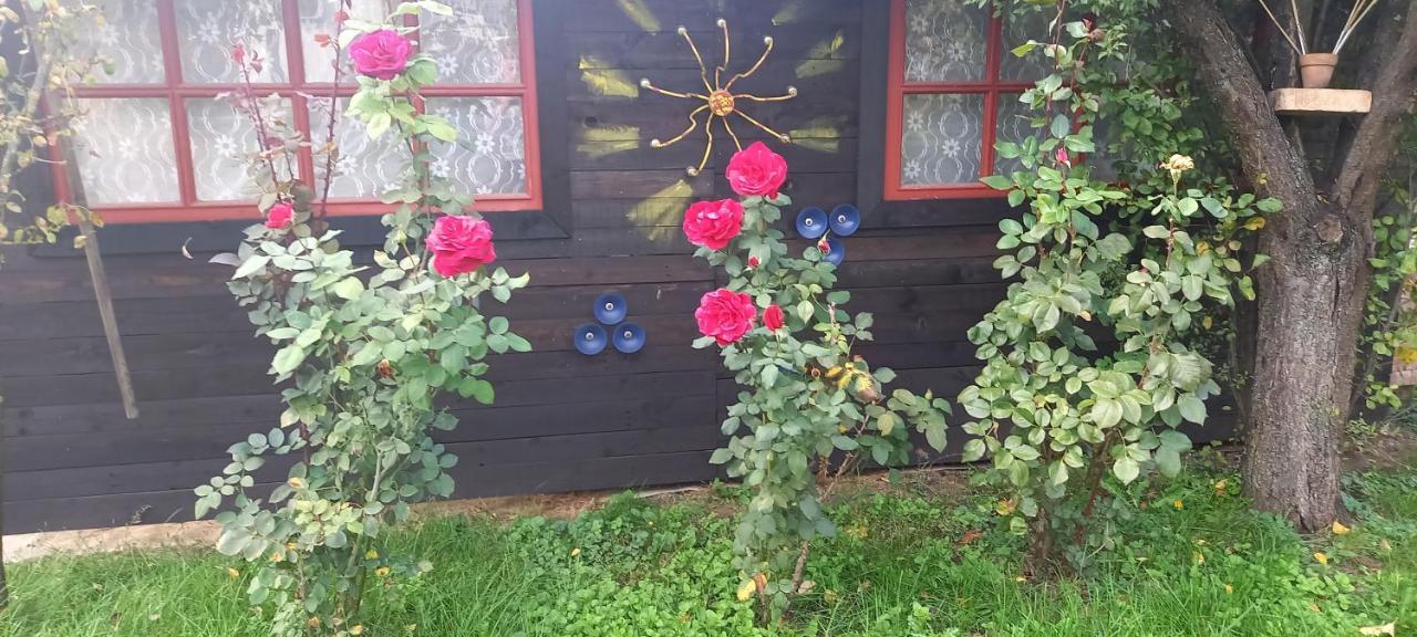 Ferienwohnung Ket Puli Vendeghaz Bekescsaba Exterior foto