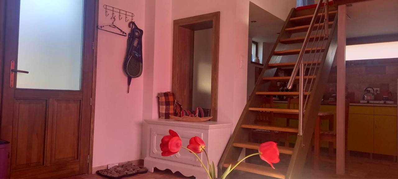 Ferienwohnung Ket Puli Vendeghaz Bekescsaba Exterior foto